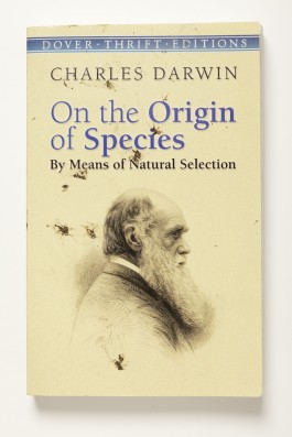 Das große Missverständnis © Sebastian Gräfe