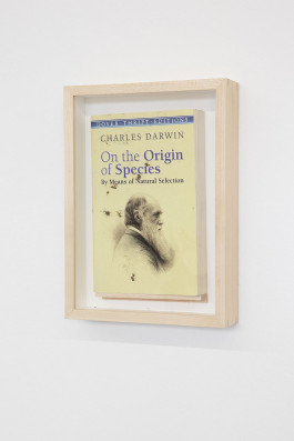 Das große Missverständnis © Sebastian Gräfe