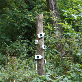 Wegweiser © Sebastian Gräfe