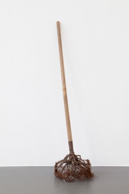 Gerät zum Wurzeln schlagen © Sebastian Gräfe