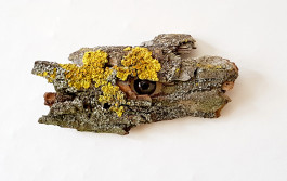 Greenman © Sebastian Gräfe