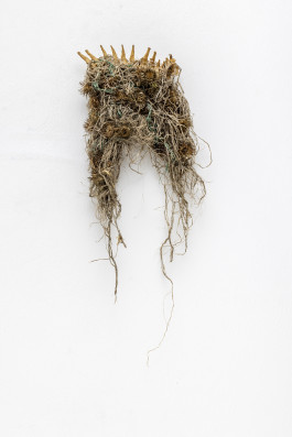 Poetisches Rückgrat © Sebastian Gräfe