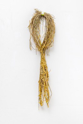 Magie im Alltag © Sebastian Gräfe