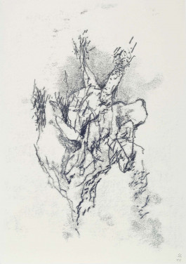 Fragmente (Unterwasser) © Sebastian Gräfe