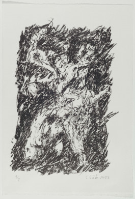 Snafu © Sebastian Gräfe