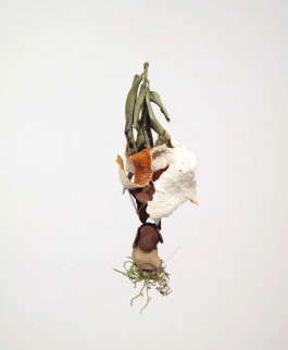 ... © Sebastian Gräfe