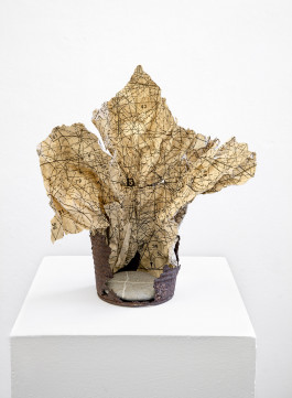 + © Sebastian Gräfe