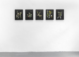 Geheimnisse – Ausstellungsansicht © Sebastian Gräfe