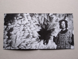 ToiToiToi - Hollow Earth Hippies . Lo-Fi Longings 2011 © Sebastian Gräfe