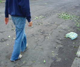 Driven by the Wind © Sebastian Gräfe