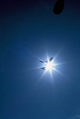 Sonnenfinsternis © Sebastian Gräfe