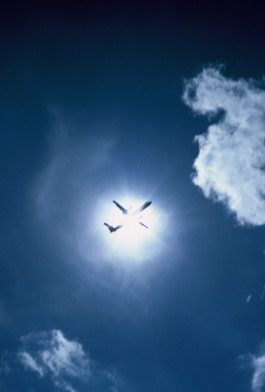 Sonnenfinsternis © Sebastian Gräfe