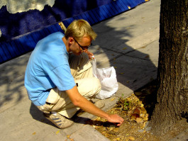 4 days 4 elements - Earth - Be Careful in the Jungle roken Glass and Rusty Nails) © Sebastian Gräfe