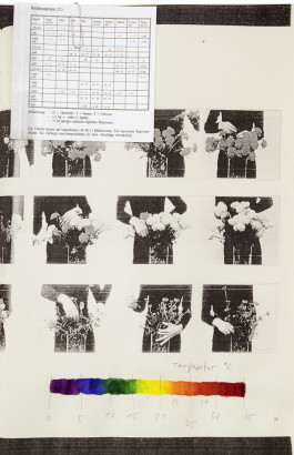 Die weiteren Aussichten © Sebastian Gräfe