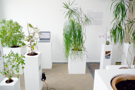 Having a Good Time with Friends - Installationsansicht © Sebastian Gräfe