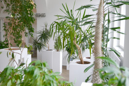 Having a Good Time with Friends - Installationsansicht © Sebastian Gräfe