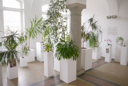 Having a Good Time with Friends - Installationsansicht © Sebastian Gräfe