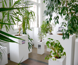 Having a Good Time with Friends - Installationsansicht © Sebastian Gräfe