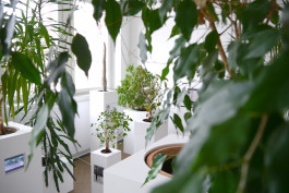 Having a Good Time with Friends - Installationsansicht © Sebastian Gräfe