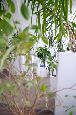 Having a Good Time with Friends - Installationsansicht © Sebastian Gräfe