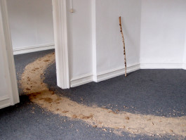 Woher. wohin? © Sebastian Gräfe