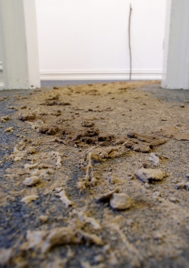 Woher. wohin? © Sebastian Gräfe