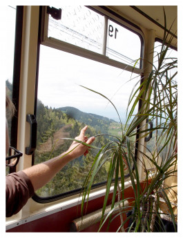 Having a Good Time with Friends - Ausflug auf den Schauinsland © Sebastian Gräfe