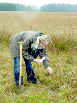 Gesundheit! © Sebastian Gräfe