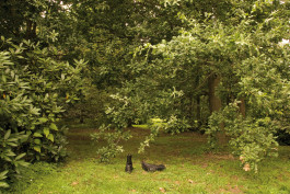 Le pays où l’on n’arrive jamais © Sebastian Gräfe