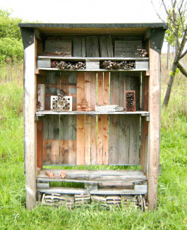 Happy Buddha in den Weinbergen © Sebastian Gräfe