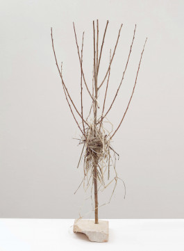  © Sebastian Gräfe