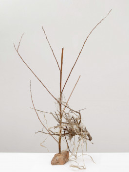  © Sebastian Gräfe